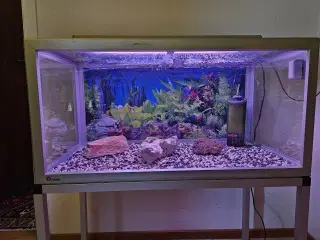 Akvarium m. pumpe, understel og lys - 120 liter