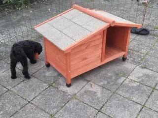 Hundehus til små hunde.