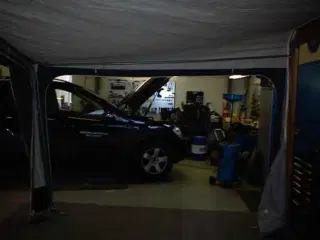   Isabella Ambassadør Tag