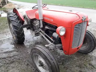Ferguson benzin traktor