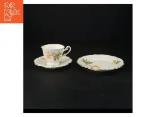 Porcelænskop og underkop fra Antoinette (str. 16 x 9 cm)