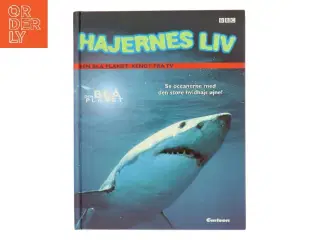 Hajernes liv af Jinny Johnson (Bog)