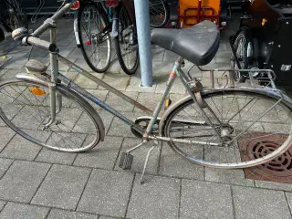 Damecykel 