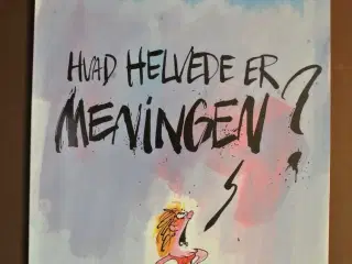 hvad helvede er meningen, af mette dreyer, Tegnese