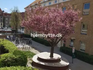 Hjembytte - Strandgade