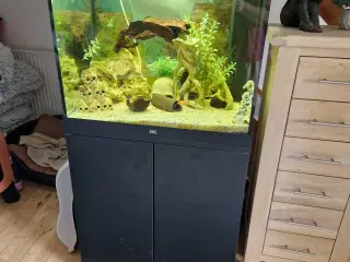 Akvarium sælges mangel på tid