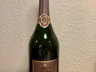 Champagne 