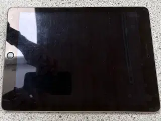 iPad velholdt med panzerskærm
