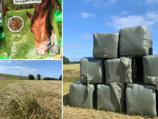 Heste wrap 