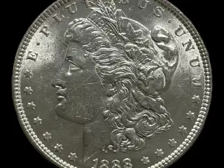 Morgan Dollar 1888