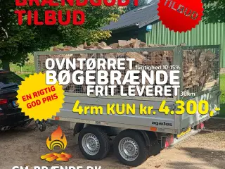 Brændgodt tilbud: 4 RM. Ovntørret Bøgebrænde