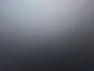 DVD film 1 flyttekasse