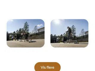 Skate grind rail