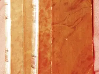 H. F. Ewald: Niels Brahe