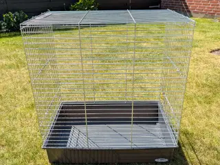 Fuglebur til parakitter 