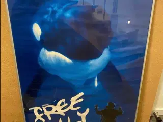 Free Willy plakat
