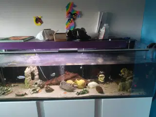 720 liters akvarie med alt 
