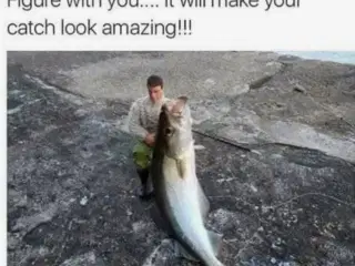 Modtager fisk
