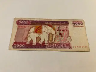 5000 Kyats Myanmar