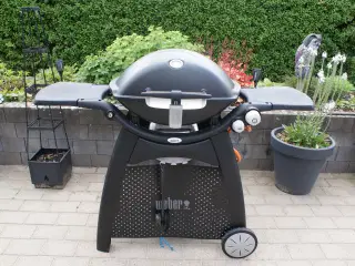weber q3200