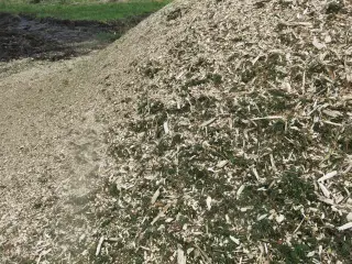 Træflis af gran