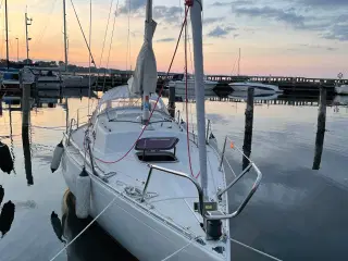 Albin accent 26