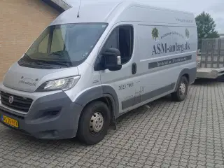 Fiat ducato maxi