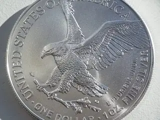 Silver Eagle 1oz finsølv