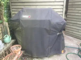 Weber  Spirit gasgril