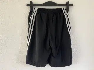 Shorts str.164