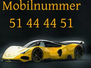 Guldnummer 51 44 44 51