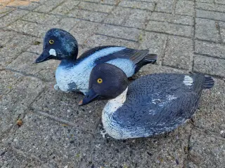 30 styk lokkeænder, hvinand