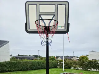 Basketball kurv på stander.