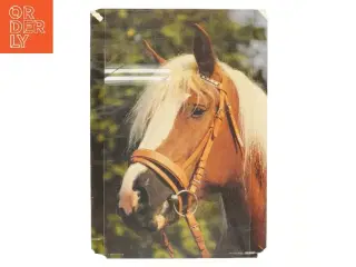 Plakat med hestemotiv fra Scandecor (str. 59,5x42 cm)