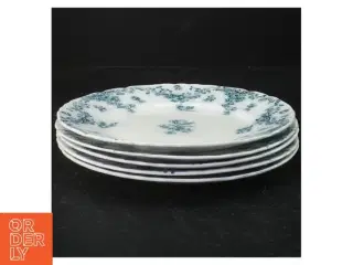 Porcelænsmiddagstallerkener