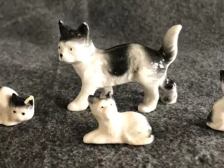 Kattefamilie i stentøj