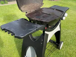 Weber model q 300 gasgril