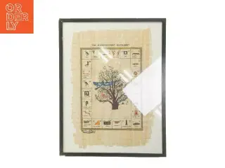 Hieroglyfisk alfabet plakat med ramme (str. 44x34 cm)