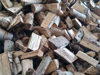 Tørt løvtræ klar til fyrring