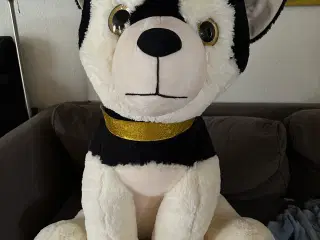 Bamse ( hund stor)