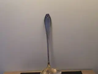 Meget gammel suppe opøserske