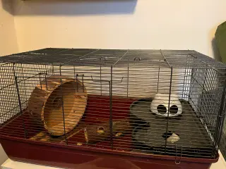 Hamster bur incl legetøj 
