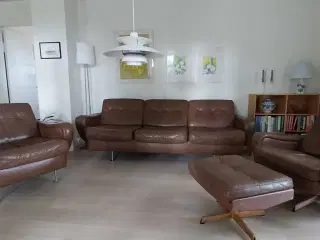 Sofagruppe i vandbøffel.