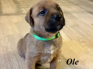 FamilyGuardianMix - Love bombs 🩶💣