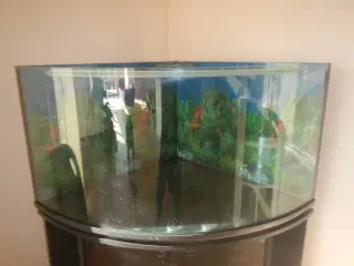 Hjørne akvarie (360 l) med sort bord