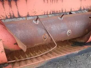 Dronningborg 10"