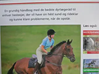 den sunde hest, red. af sarah widdicombe
