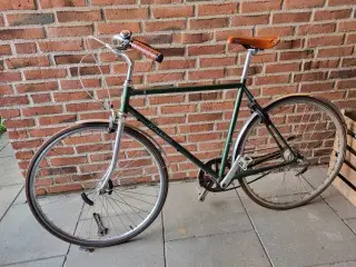 Raleigh Yate megaskadet 
