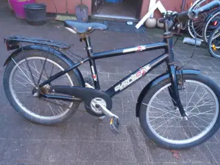 Everton 20"
