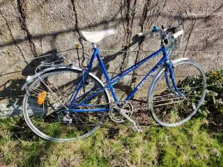 Cykel, herre, dame, børn